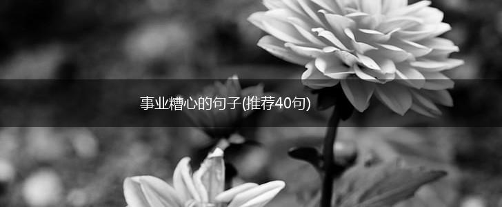 事业糟心的句子(推荐40句),第1张