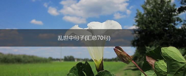 乱世中句子(汇总70句),第1张
