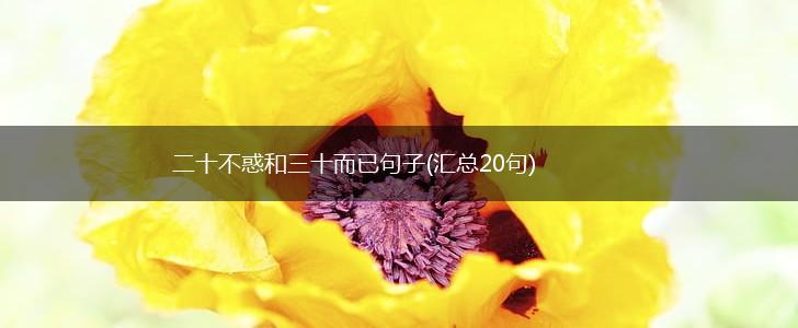 二十不惑和三十而已句子(汇总20句),第1张