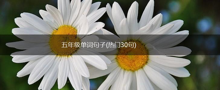 五年级单词句子(热门30句),第1张