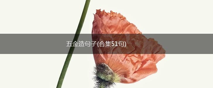 五金造句子(合集51句),第1张