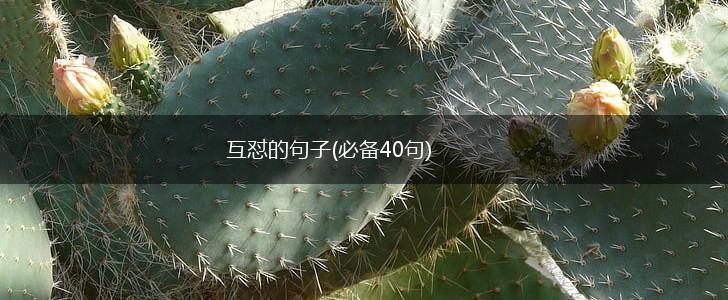 互怼的句子(必备40句),第1张