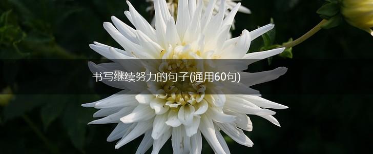 书写继续努力的句子(通用60句),第1张