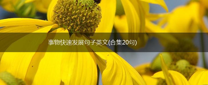 事物快速发展句子英文(合集20句),第1张
