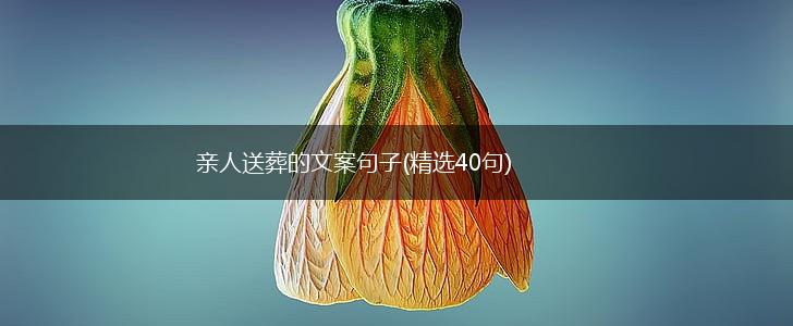 亲人送葬的文案句子(精选40句),第1张