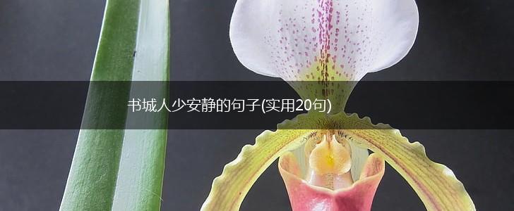 书城人少安静的句子(实用20句),第1张