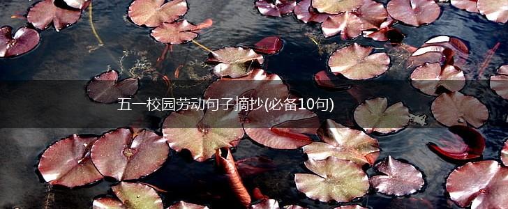 五一校园劳动句子摘抄(必备10句),第1张