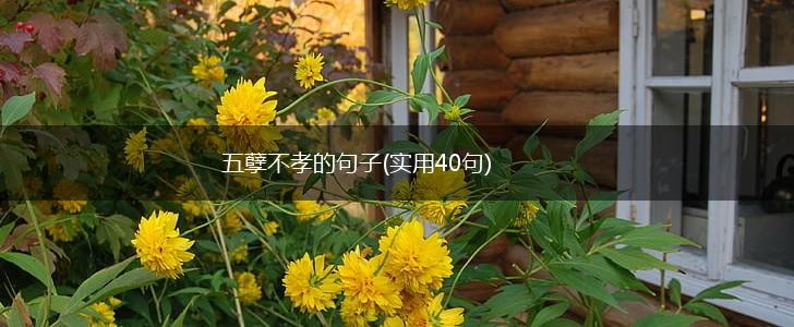 五孽不孝的句子(实用40句),第1张