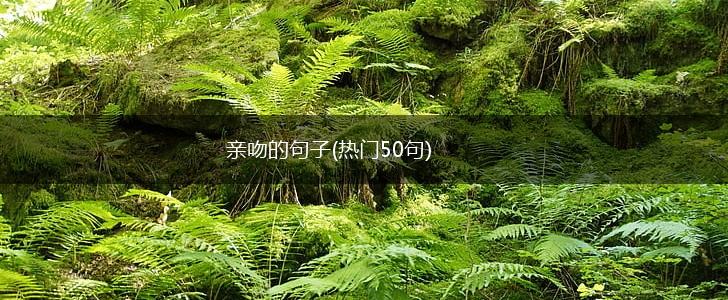 亲吻的句子(热门50句),第1张