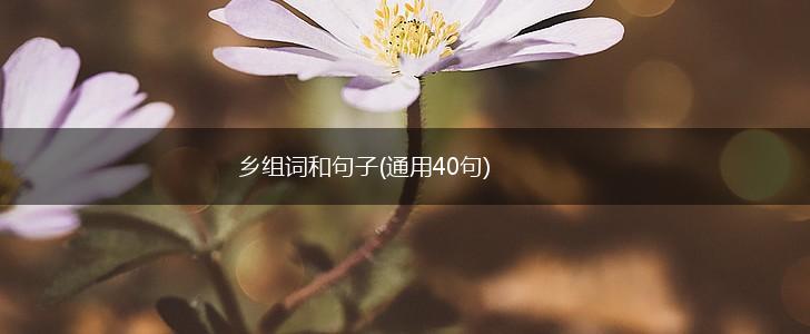 乡组词和句子(通用40句),第1张