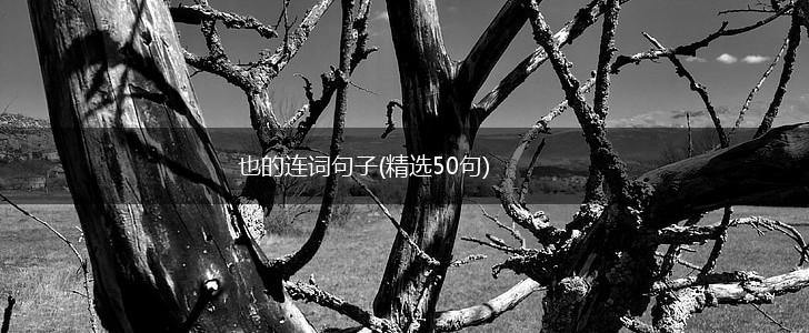 也的连词句子(精选50句),第1张