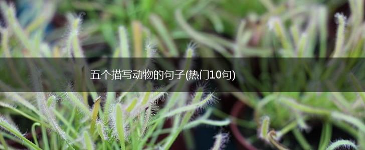 五个描写动物的句子(热门10句),第1张