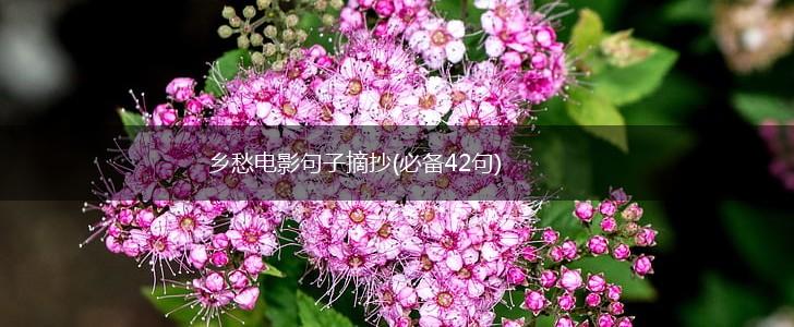 乡愁电影句子摘抄(必备42句),第1张