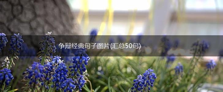 争辩经典句子图片(汇总50句),第1张
