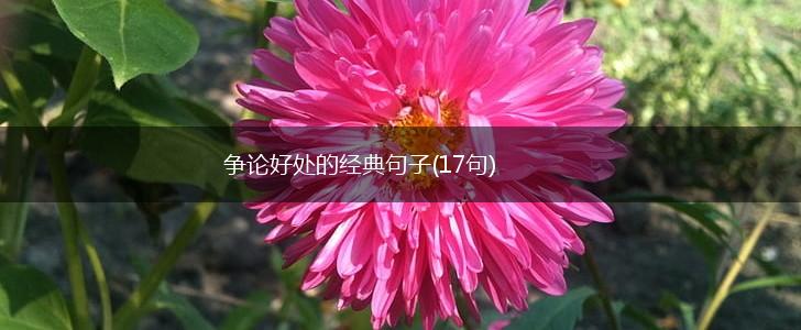 争论好处的经典句子(17句),第1张