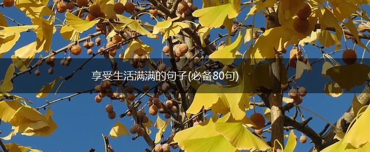 享受生活满满的句子(必备80句),第1张