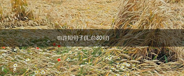 也许短句子(汇总80句),第1张