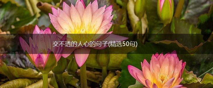 交不透的人心的句子(精选50句),第1张
