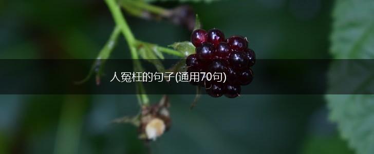 人冤枉的句子(通用70句),第1张