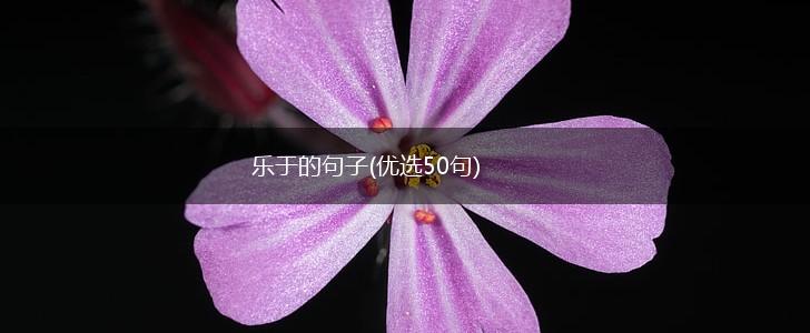 乐于的句子(优选50句),第1张