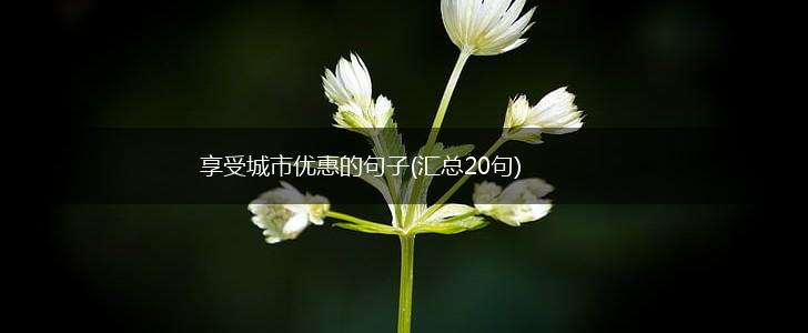 享受城市优惠的句子(汇总20句),第1张