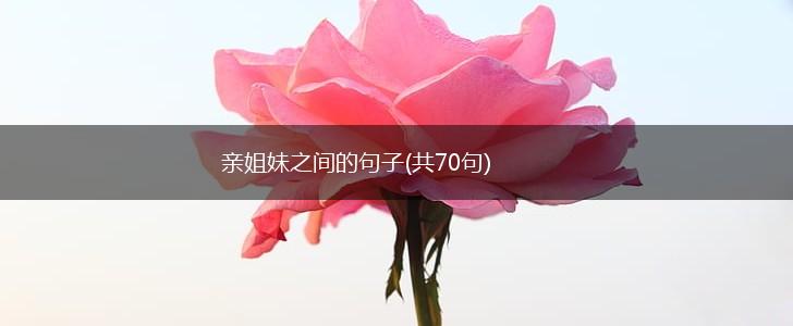 亲姐妹之间的句子(共70句),第1张
