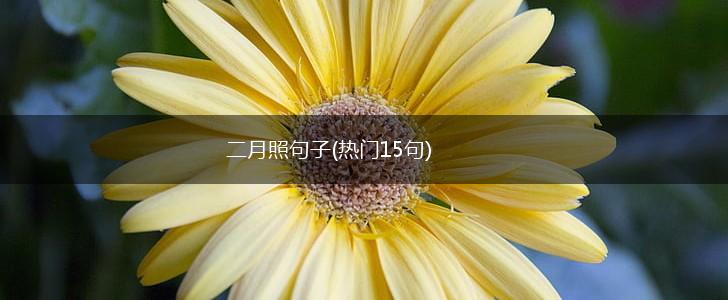 二月照句子(热门15句),第1张