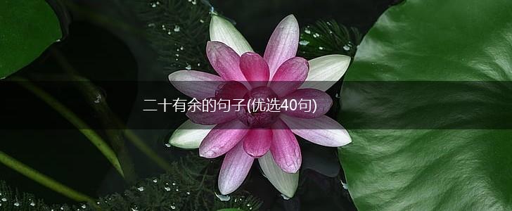 二十有余的句子(优选40句),第1张