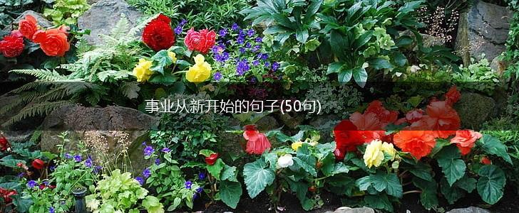 事业从新开始的句子(50句),第1张