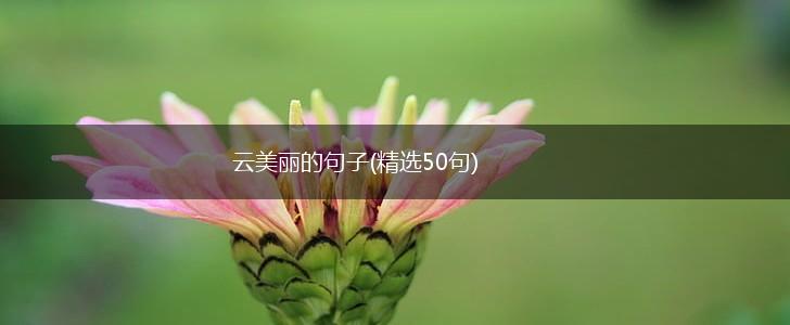 云美丽的句子(精选50句),第1张