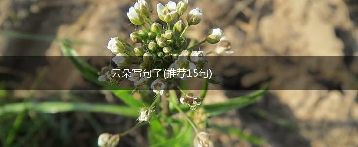 云朵写句子(推荐15句),第1张