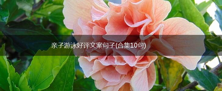 亲子游泳好评文案句子(合集10句),第1张