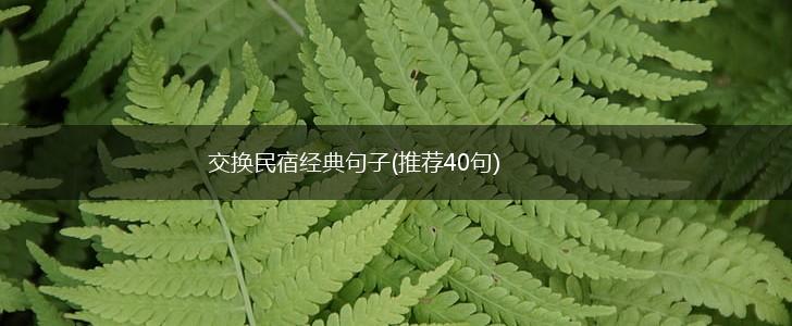 交换民宿经典句子(推荐40句),第1张