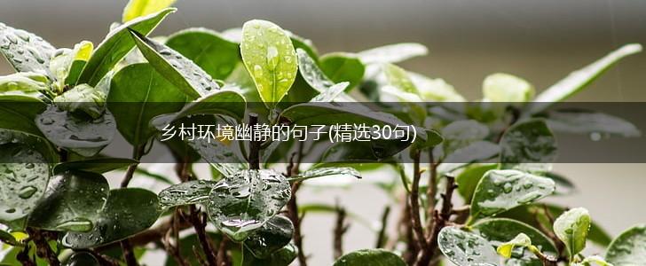 乡村环境幽静的句子(精选30句),第1张