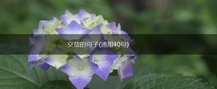 交货的句子(通用40句),第1张