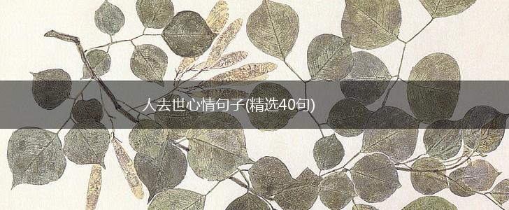 人去世心情句子(精选40句),第1张