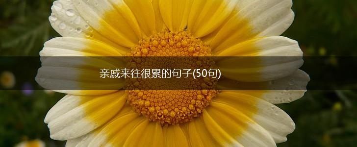 亲戚来往很累的句子(50句),第1张