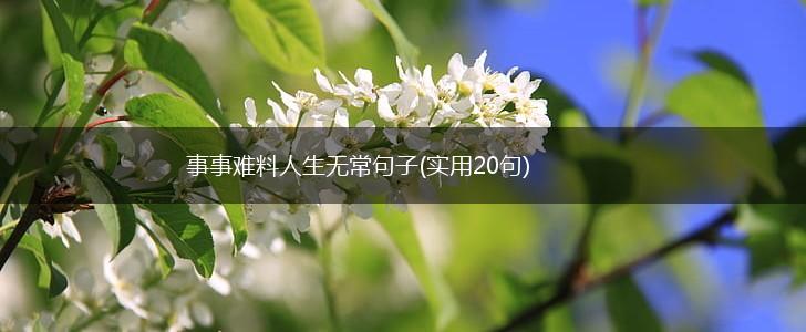 事事难料人生无常句子(实用20句),第1张