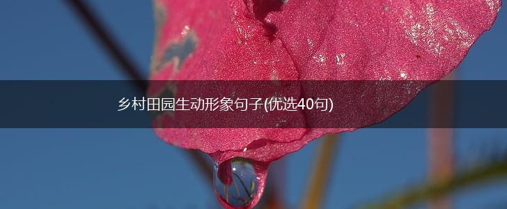 乡村田园生动形象句子(优选40句),第1张