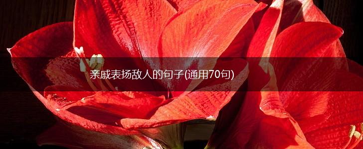亲戚表扬敌人的句子(通用70句),第1张