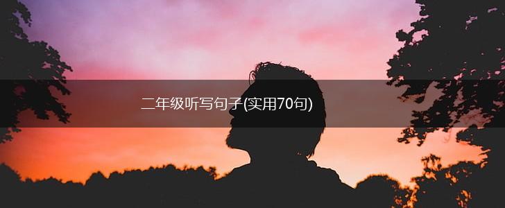 二年级听写句子(实用70句),第1张