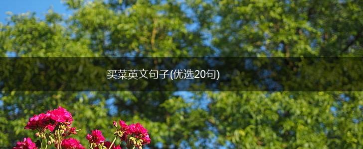 买菜英文句子(优选20句),第1张