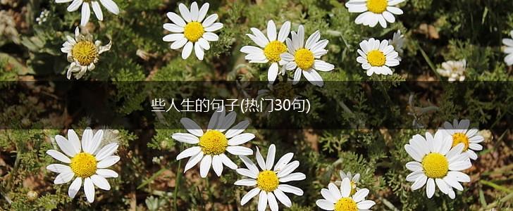 些人生的句子(热门30句),第1张