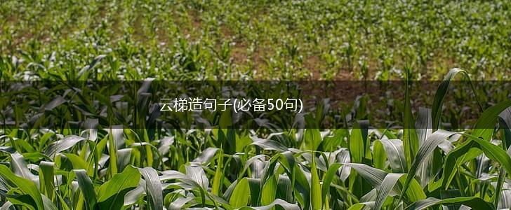 云梯造句子(必备50句),第1张
