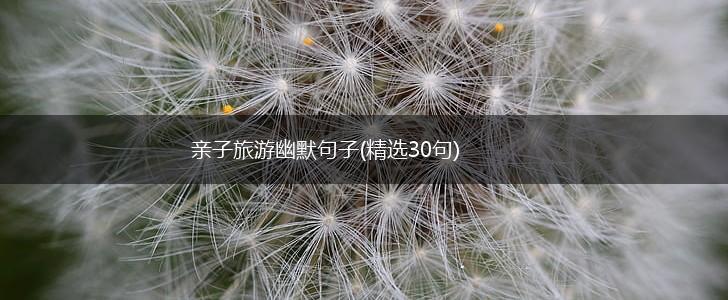 亲子旅游幽默句子(精选30句),第1张