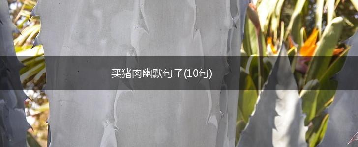 买猪肉幽默句子(10句),第1张
