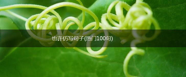 也许仿写句子(热门100句),第1张