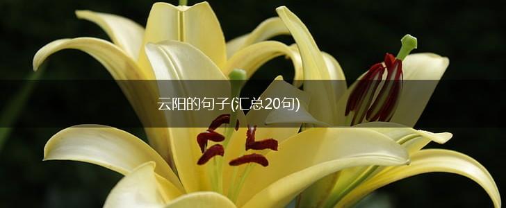 云阳的句子(汇总20句),第1张