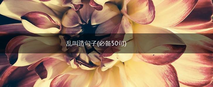 乱叫造句子(必备50句),第1张