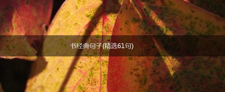 书经典句子(精选61句),第1张